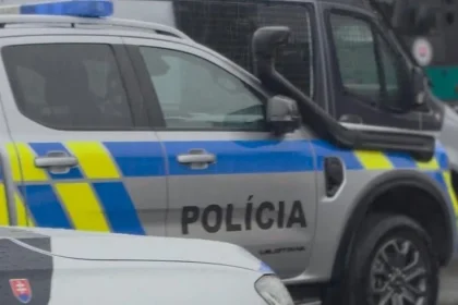 Kriminalita cudzincov páchaná na území Slovenska