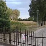 Na cintoríne pestujú obilniny, ľudia kontaktovali úrad