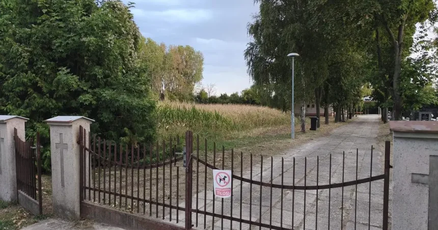Na cintoríne pestujú obilniny, ľudia kontaktovali úrad