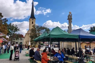 Oberačky sa začali, burčiak je extra sladký. Vinohrad nikdy nesklamal, tvrdí vinár