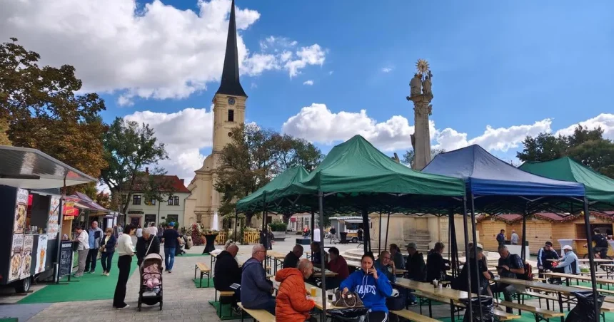 Oberačky sa začali, burčiak je extra sladký. Vinohrad nikdy nesklamal, tvrdí vinár