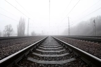 Osobný vlak sa vykoľajil pri Trenčíne po náraze do stromu