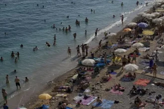 Priemerná hodnota rezervácie počas letnej sezóny