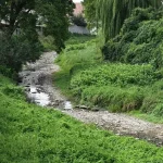 Suchá a horúčavami sužovaná krajina zápasí s vážnym nedostatkom vody