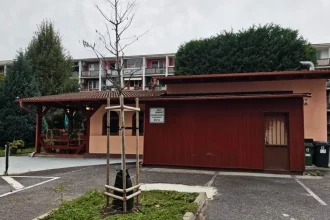 V bratislavskom Ružinove začali proces odstraňovania čiernej stavby.