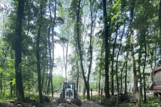 Za čiernymi stavbami v lese stojí on, do lesnej stráže tlačil svojho. Úrad to stopol