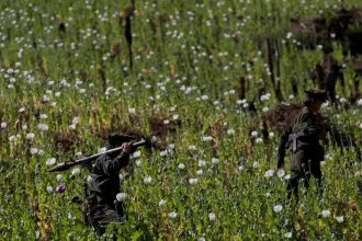 Afganskí farmári čelia zákazu pestovania maku