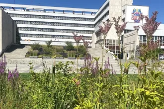 Aký je plán pre Košice? Kandidáti na primátora Košíc hovoria, ako chcú ozdraviť rozpočet