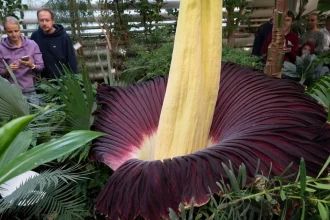 Botanická záhrada UK bude od 1. novembra pre verejnosť zatvorená