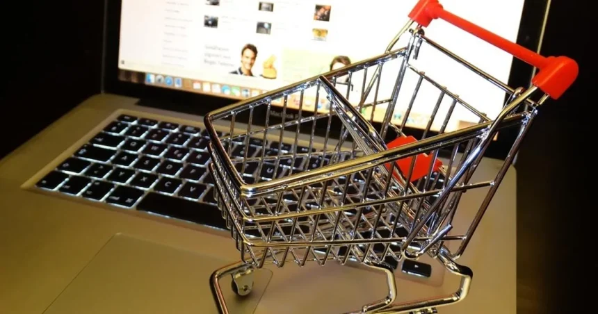 Českému online predajcovi Rohlík.cz sa darí expandovať na slovenskom trhu