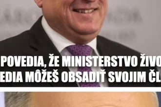Cynická obluda: Klasický problém SNS, ktorý sa stále vracia