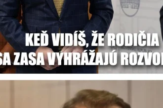 Cynická obluda: Najväčšia obeť prípadného rozpadu koalície