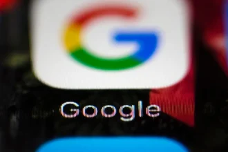 Google bez povolenia vyrúbal stovky hektárov lesa vo Fínsku