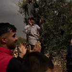 Izraelskí osadníci zaútočili na Palestínčanov a podpálili olivovníky