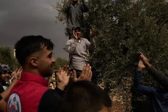 Izraelskí osadníci zaútočili na Palestínčanov a podpálili olivovníky