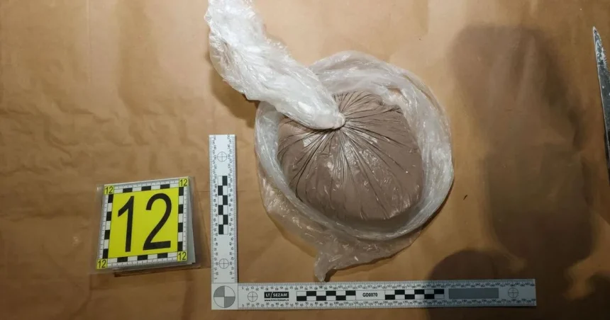 Jedna osoba čelí obvineniu v rámci akcie