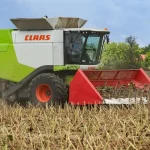 Jesenná úroda obilnín bola výrazne vyššia