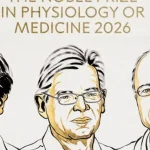 Nobelovu cenu za medicínu získali traja vedci. Pomáhajú objasniť, ako funguje náš mozog