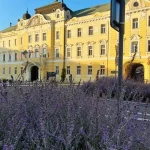 Pravicová koalícia vyhrala, viaceré známe mená neuspeli, vrátane Tibora Gašpara