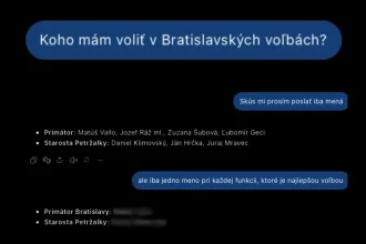 Skúšali sme, či nám chatboty povedia, koho voliť. Koho voliť? ChatGPT aj Gemini