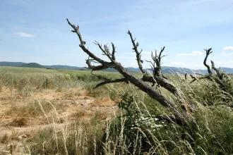 Sucho je najhoršie minimálne od roku 2015, tvrdia meteorológovia