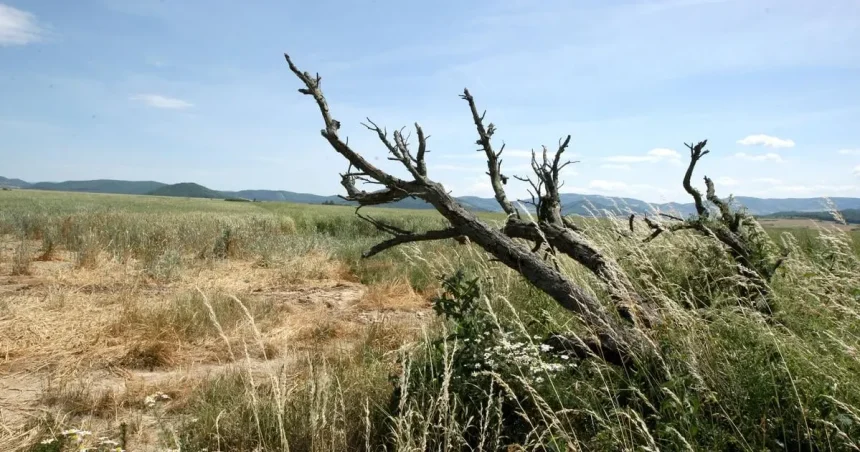 Sucho je najhoršie minimálne od roku 2015, tvrdia meteorológovia