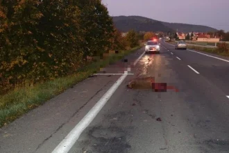 V roku 2019 dosahovala priemerná škoda vyššiu úroveň