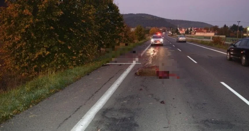 V roku 2019 dosahovala priemerná škoda vyššiu úroveň