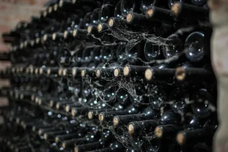 Z vinárstva Marchesi Antinori pochádzajú výnimočné vína